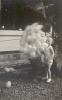 mei 37 Batavia, wat een ballonnen
